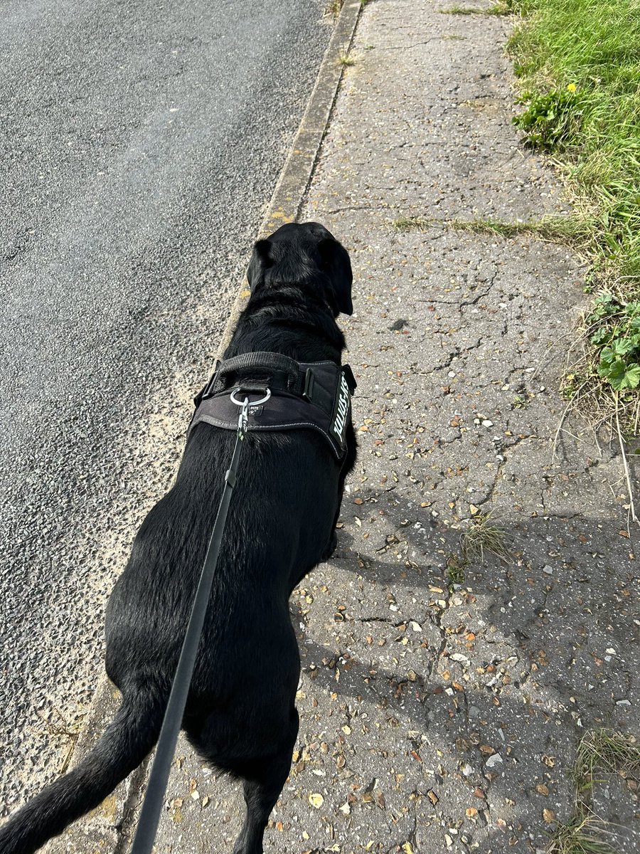 Karon 💙 tweet media