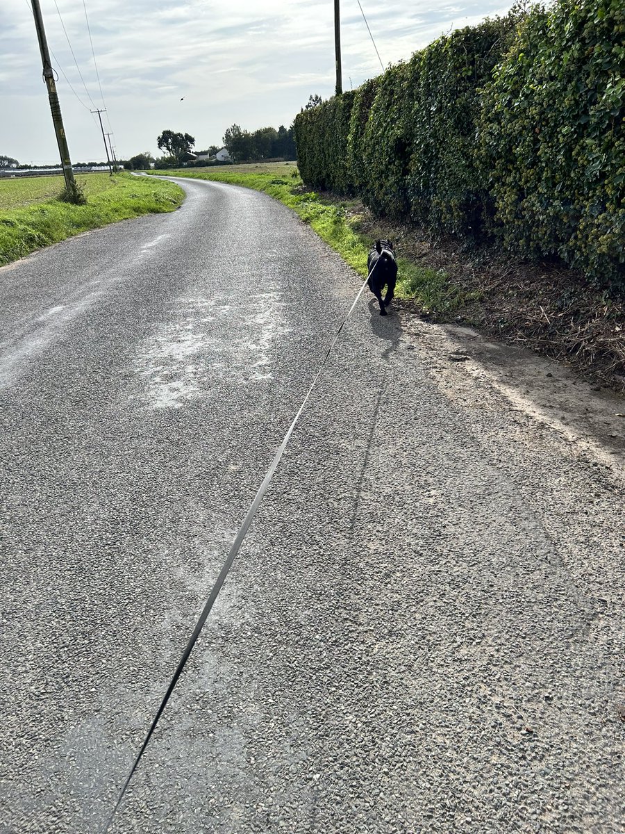 Karon 💙 tweet media