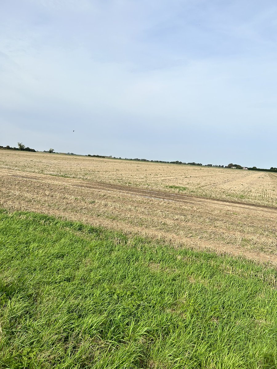 Karon 💙 tweet media