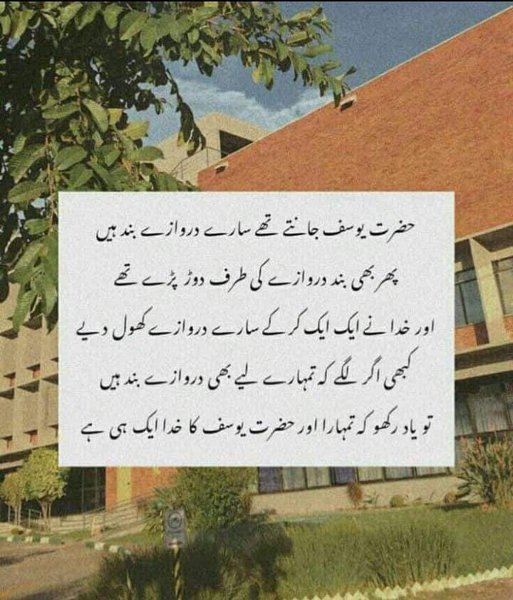 ‏◉✿محـــــــIDREESــــــــمد✿◉ tweet media