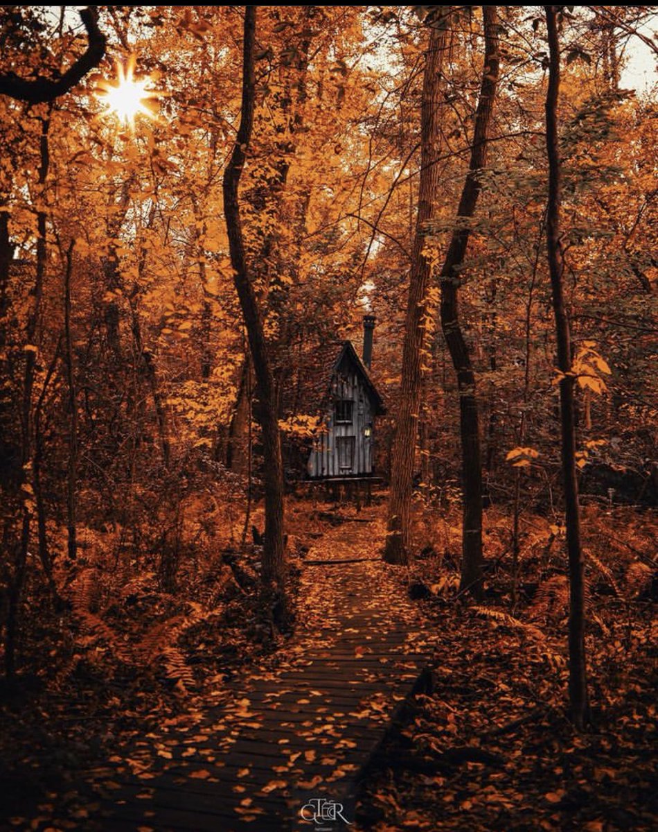 ValentyneDreams's tweet photo. Do you think you could live here for two weeks? https://t.co/3t4lbWbJ22