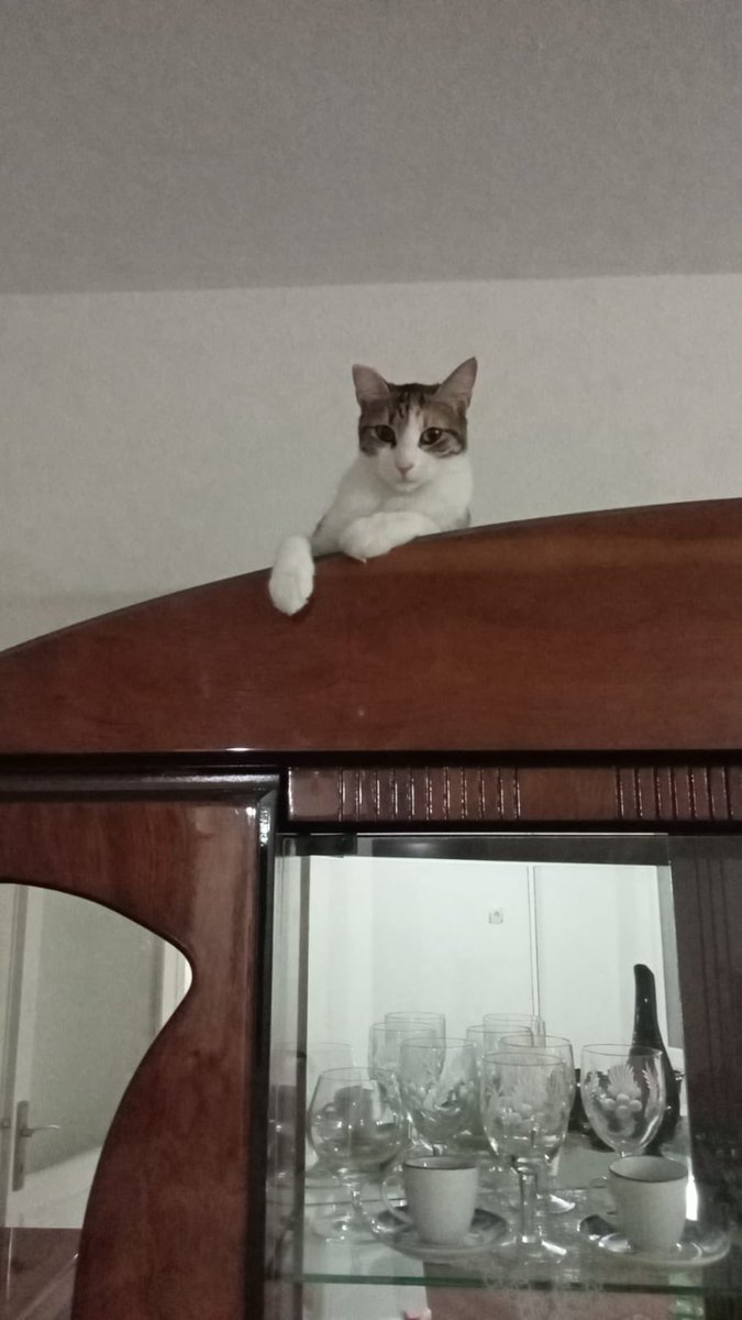 +Aa kedin mi var, cinsi ne?

-Taksi durağına koysan sırıtmaz cinsten