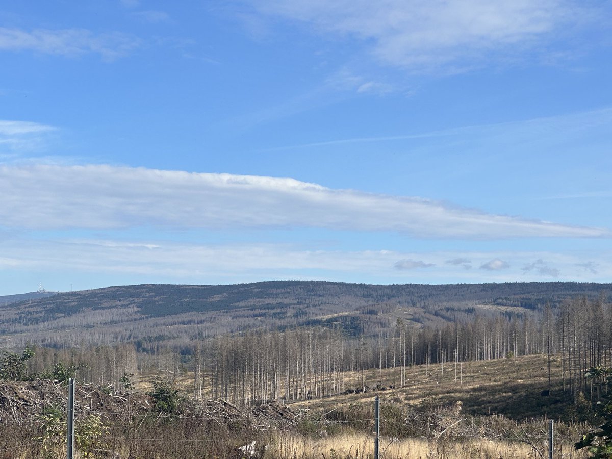 landharzt🌈🐳📯 tweet media