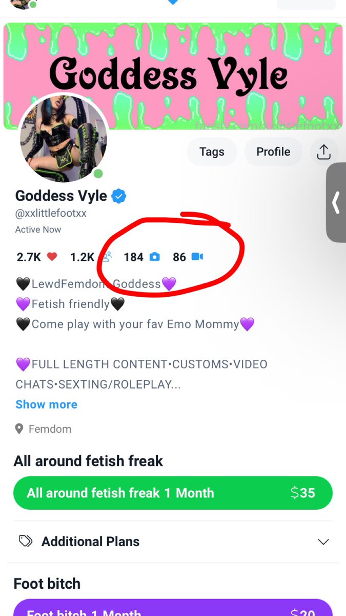 🕸️GODDESS VYLE🕸️ tweet media