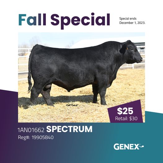 Genex Canada Beef tweet media