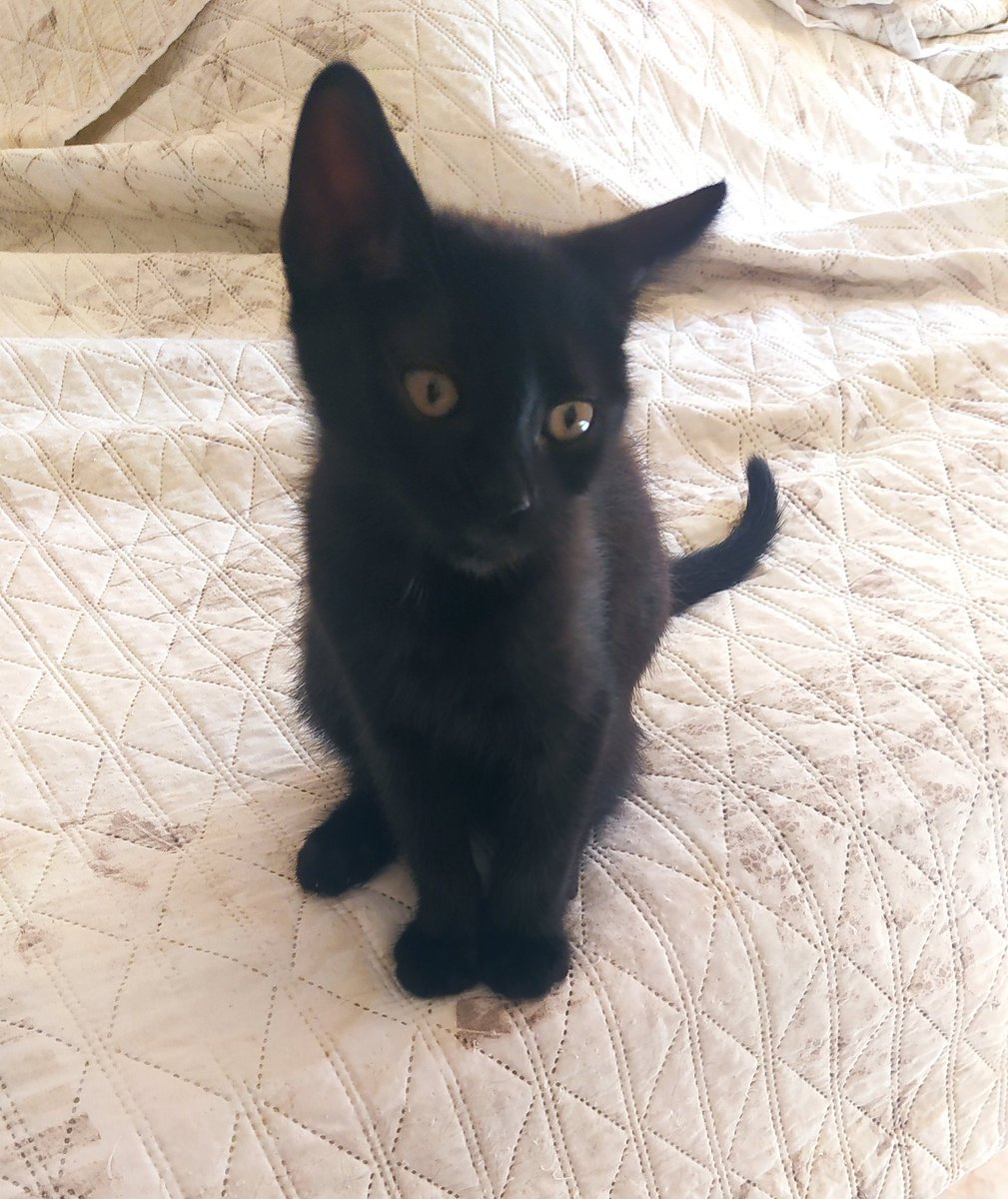 Azzurra 😍