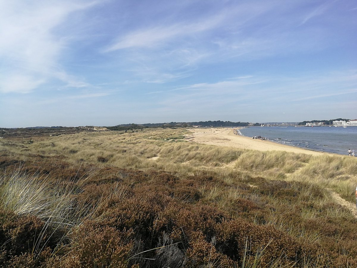 Martin Warren tweet media