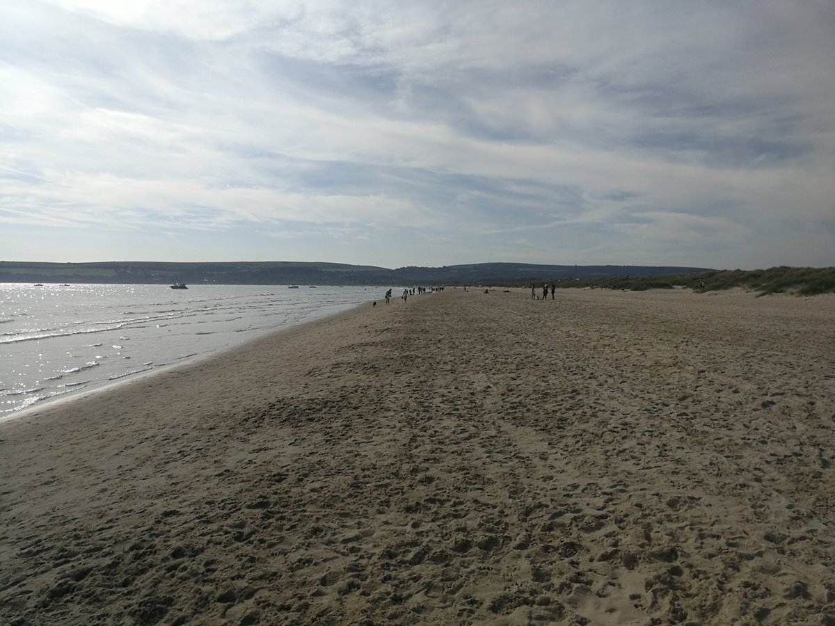 Martin Warren (@martinswarren) on Twitter photo Around 40 Red Admirals per hr migrating south this morning at Studland Beach #migration <a href="/BC_Dorset/">BC Dorset 🦋</a> <a href="/savebutterflies/">Butterfly Conservation 🦋</a> Around 40 Red Admirals per hr migrating south this morning at Studland Beach #migration <a href="/BC_Dorset/">BC Dorset 🦋</a> <a href="/savebutterflies/">Butterfly Conservation 🦋</a>
