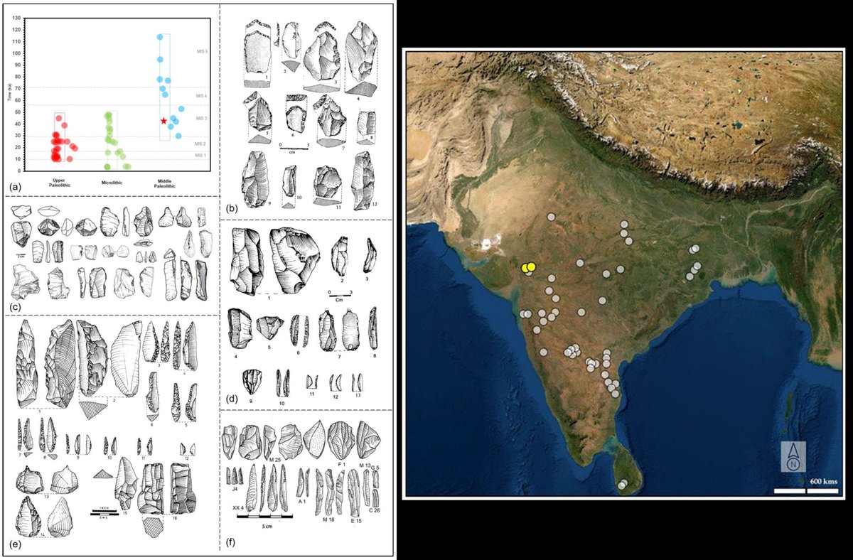 MartMLahr's tweet image. From April: excellent rev of sites w/ blades in S Asia, and discussion of models, questions, &amp;amp; relation w/ microlithic &amp;amp; MP technology. By @atypical_SAPIEN &amp;amp; colleagues
#India #Palaeolithic

Assessing Systematic Blade Production in the Indian Subcontinent mdpi.com/2229714