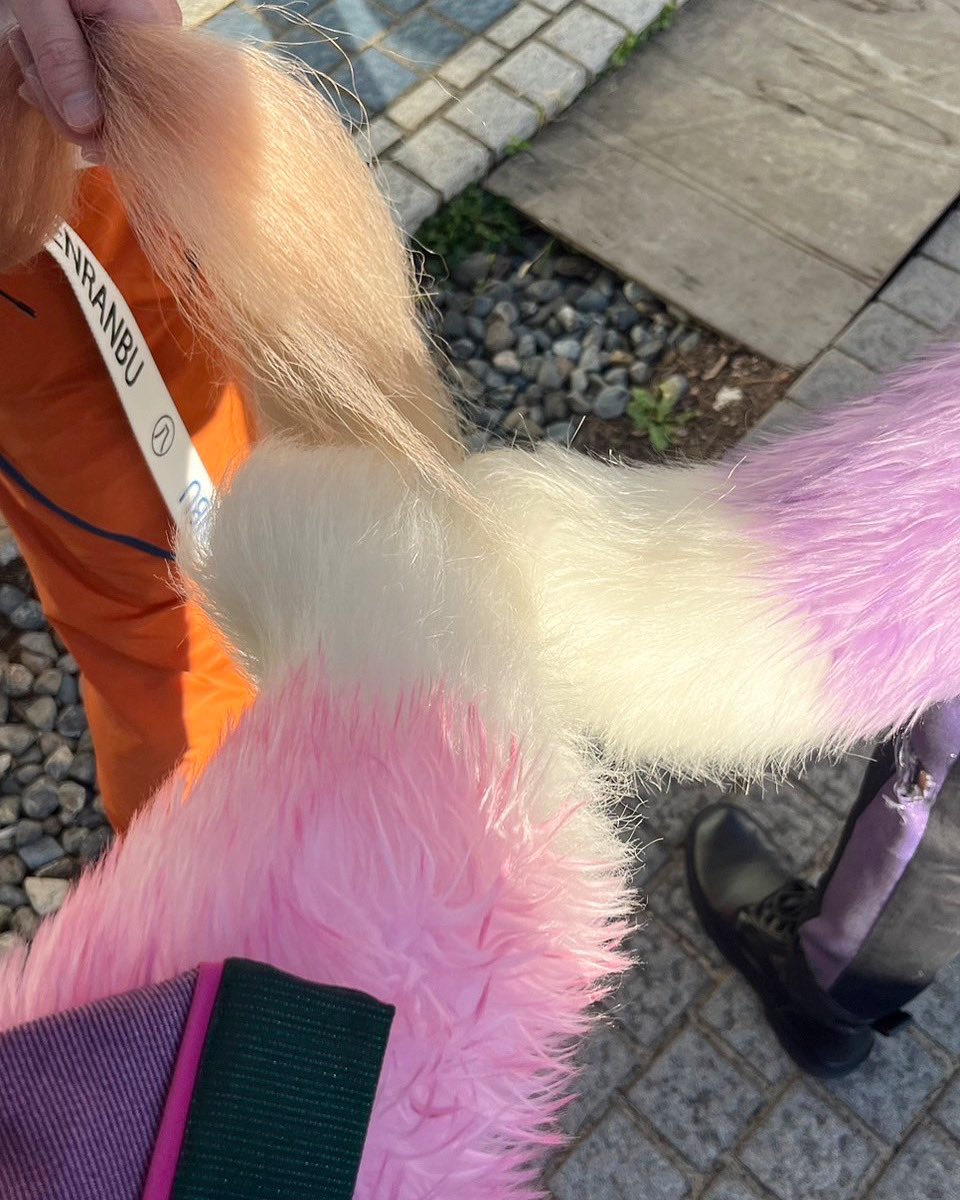 尻尾(˶'ᵕ'˶ )︎੭”ﾌﾘﾌﾘ