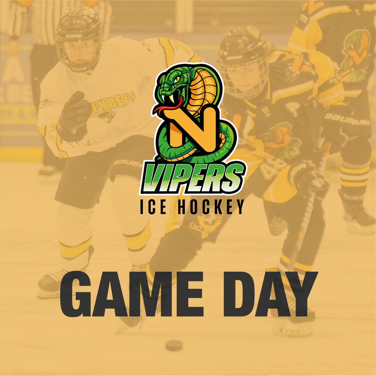 Nottingham Vipers (@nottmvipers) on Twitter photo 🚨It’s Game Day! 🚨
Today we start our 2023/24 campaign against <a href="/K_DiamondsIHC/">Kingston Diamonds</a>!
🏟️ <a href="/Nat_Ice_Centre/">National Ice Centre</a>
🏆 @EIHA_Official #WNIHL
📆 08/10/2023
⏰ 4:30pm FO
💷 Free entry
#VipersHockey | #NewEra 🚨It’s Game Day! 🚨
Today we start our 2023/24 campaign against <a href="/K_DiamondsIHC/">Kingston Diamonds</a>!
🏟️ <a href="/Nat_Ice_Centre/">National Ice Centre</a>
🏆 @EIHA_Official #WNIHL
📆 08/10/2023
⏰ 4:30pm FO
💷 Free entry
#VipersHockey | #NewEra