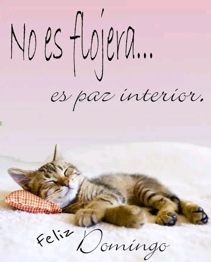 Buen día..
