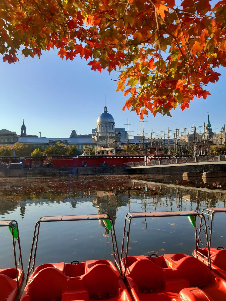 Bye bye, Montréal! I had a great, thought provoking and inspiring time at the @TheGSA conference. And the weather was almost the whole time as good as in the picture - almost. ;) #SFB1288inMontréal