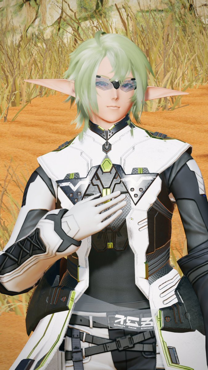 DauraPso2's tweet photo. I finally got the NGS hair looking how I wanted on N-Casra here!

The only downside is not being able to equip any more accessories due to accessory cost~ 

#PSO2NGS_SS #カスラ #PSO2GLOBAL https://t.co/GQqnLAq7eu