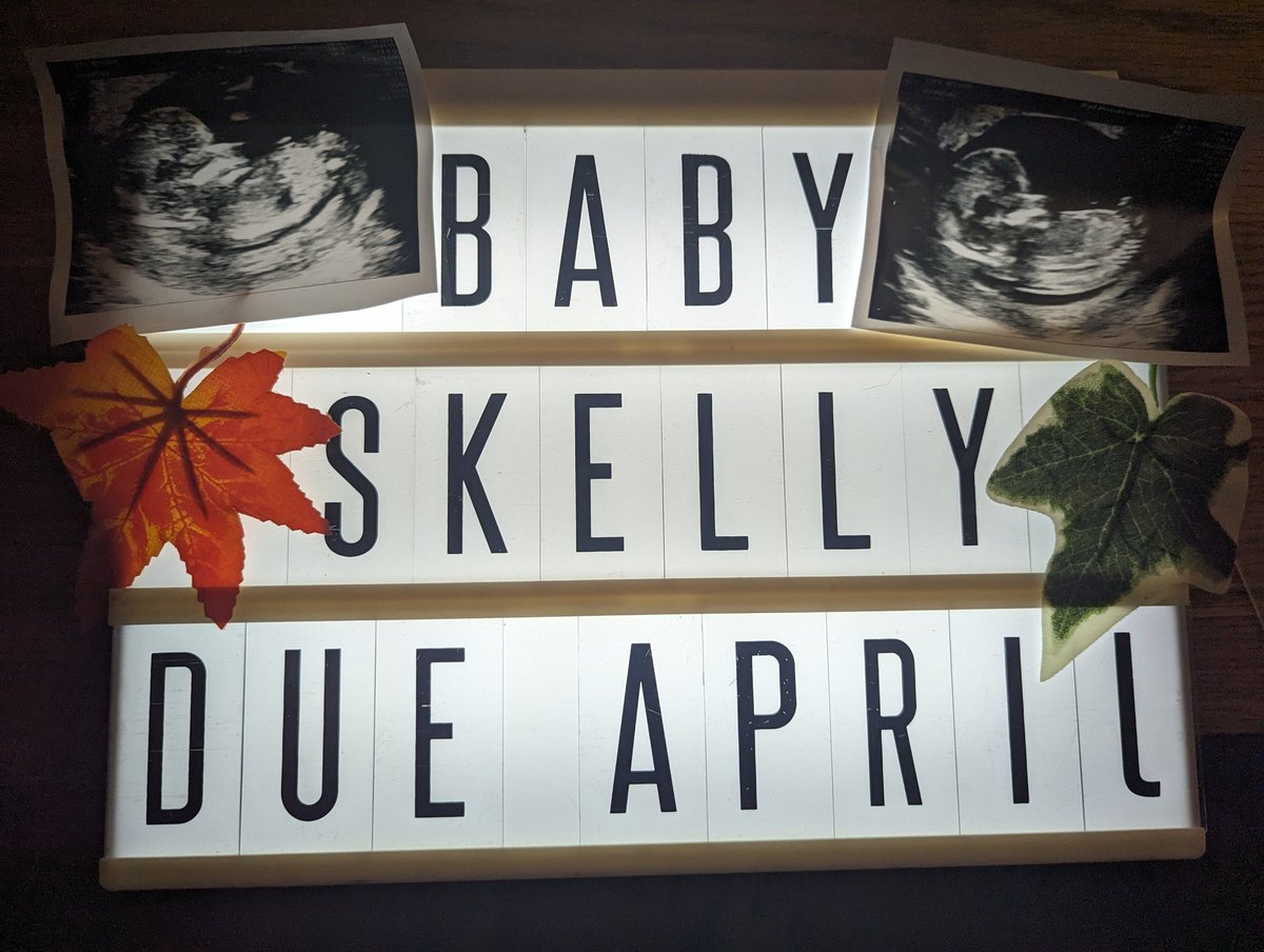 Sean Skelly tweet media