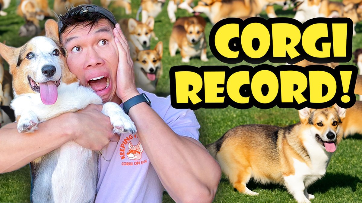 ryenlung's tweet photo. New VLOG! 😱 2,200+ Corgis at CorgiCon! We SOLD OUT! See All the Events &amp; Our Merch Booth: https://t.co/QgZ6sh0rUr https://t.co/G9lLSxOn76