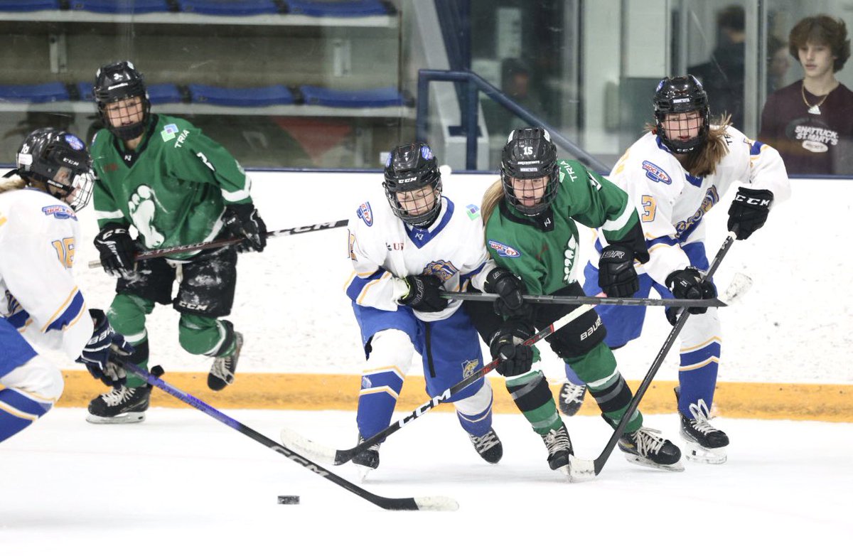 MinnHockeyHP's tweet photo. Girls 14U Tier 1

The Green Giants are the 2024 MN District Champions with a 3-1 win over the defending National Champion Walleye and will represent MN at Nationals in Tampa next spring. It was everything you want a deciding game to be. The  gwg was scored with 26 seconds left. https://t.co/qhfhZtciQl