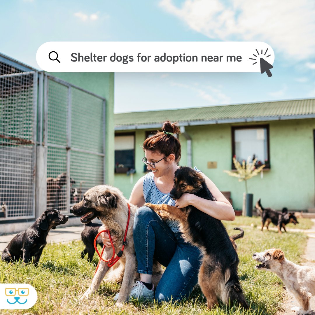 October is Adopt a Shelter Dog month. If you have room in your home and heart for a new furry friend, the ASPCA's shelter search tool makes it easy to find your newest family member. #adoptashelterdogmonth #adoptashelterdog #shelterdogs #rescuedogs  bit.ly/3RqbScV