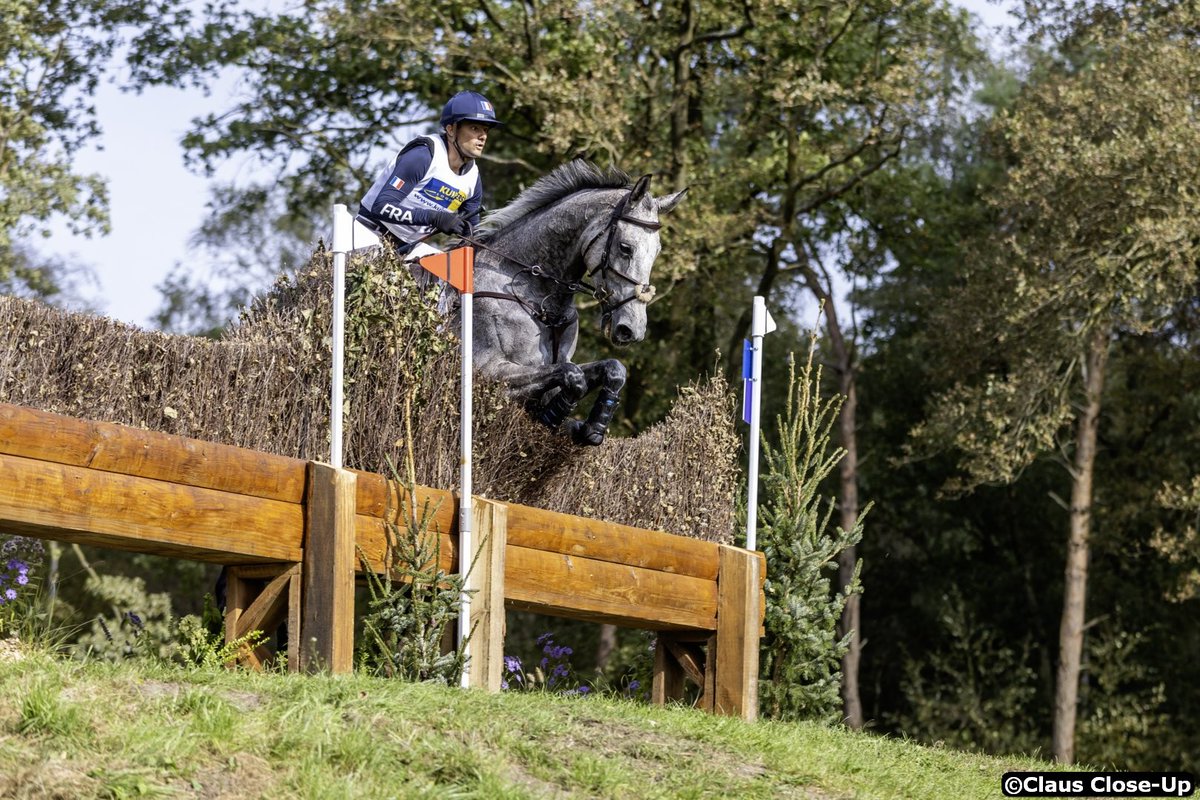 FRA_Equitation's tweet photo. #Concourscomplet #FEINationsCup Doublé des Tricolores dans le CCIO 4*L de Boekelo (NED).
Nicolas Touzaint &amp; Diabolo Menthe s'imposent en individuel.  
Les infos : https://t.co/o0PgP2yEYx https://t.co/aX2TWNN5xj