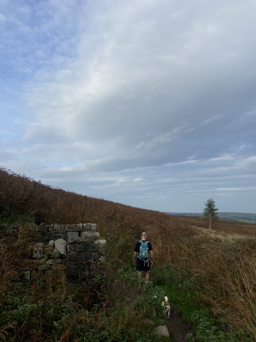 Sunday night walk <a href="/IlkleyChat/">Ilkley Chat</a> <a href="/Discover_Ilkley/">Discover Ilkley</a> <a href="/Headteacherchat/">HeadteacherChat</a> #ilkley #sunday #backtoittomorrow