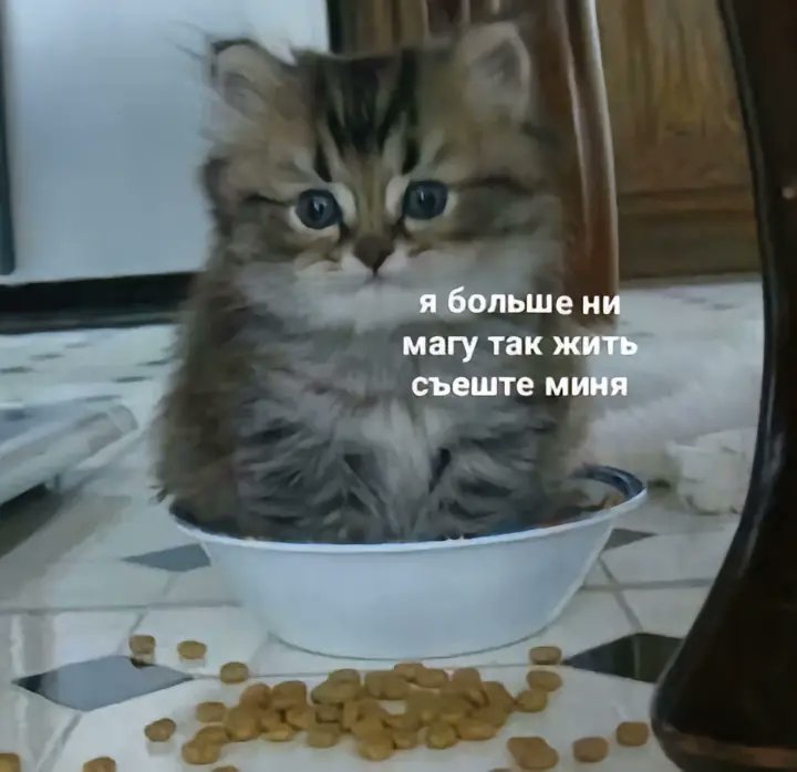 моё состояние каждый день: