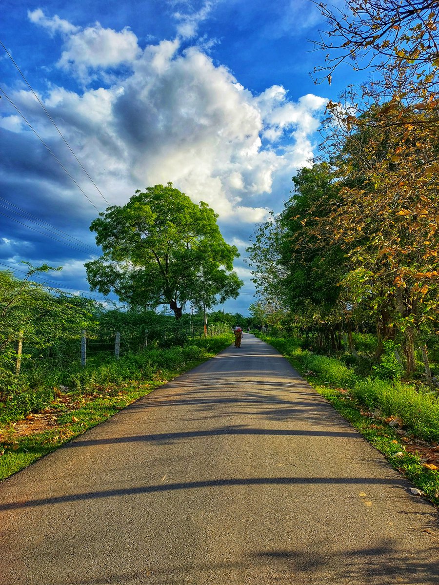 tanuja_025's tweet photo. A photograph is a moment 
Forever Frozen.
The calmness I feel when I click nature 🫠
#calm #Peace #nature 
#NaturePhotography https://t.co/Jm8awxcelG