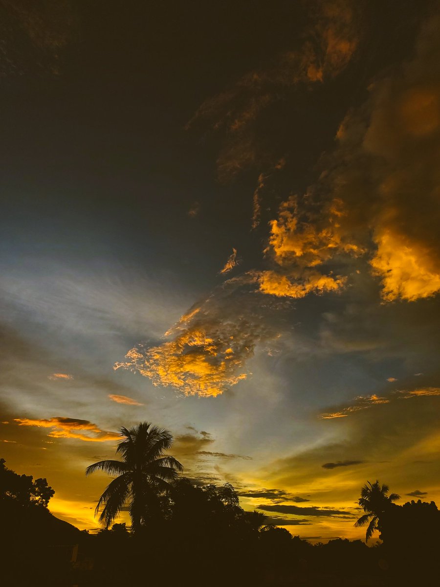 tanuja_025's tweet photo. A photograph is a moment 
Forever Frozen.
The calmness I feel when I click nature 🫠
#calm #Peace #nature 
#NaturePhotography https://t.co/Jm8awxcelG