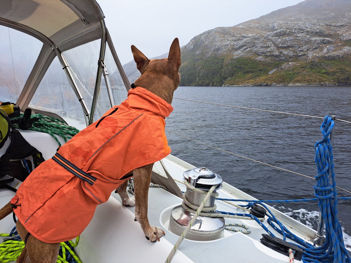 RucaSailing's tweet photo. It has been a while since we have tweeted or is it X'ed now? Anyway, we just posted our newest sailing video over on the 'tube. Follow along if you would like to see what #sailing looks like in the remote #wilderness of #patagonia. https://t.co/xp5ipfXIUl