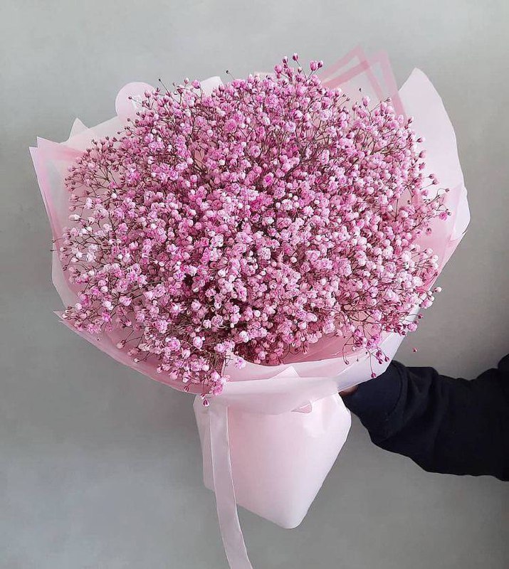 1Qafal's tweet photo. Pink baby's breath bouquet 💗 https://t.co/gJa7yLWjI4