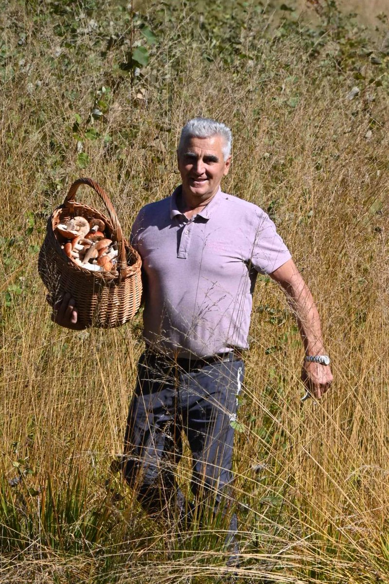 VisitPecka's tweet photo. Ovog vikenda smo ponovo tražili i pronašli gljive ali ovaj put uz mnogo više gljivarske sreće i veći broj vrsta. Proveli smo dva savršena dana na osunčanim staništima, napunili korpe vrganjima, stomake ukusnom hranom i glave znanjem. 
Bilo je jako zabavno, korisno i ugodno! https://t.co/rxyxPi5ZEF
