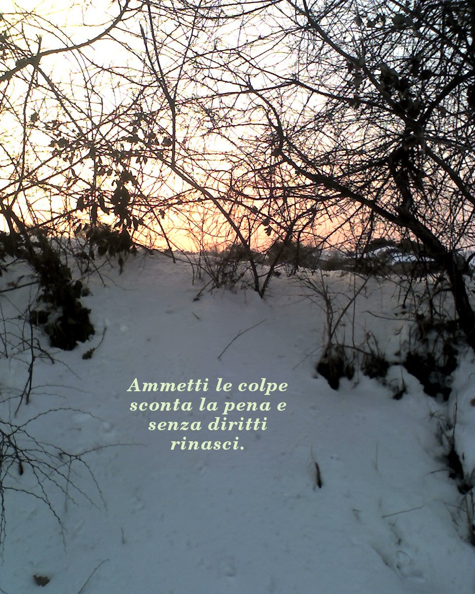 LorenzoCiuccoli's tweet image. #colpa e #diritti