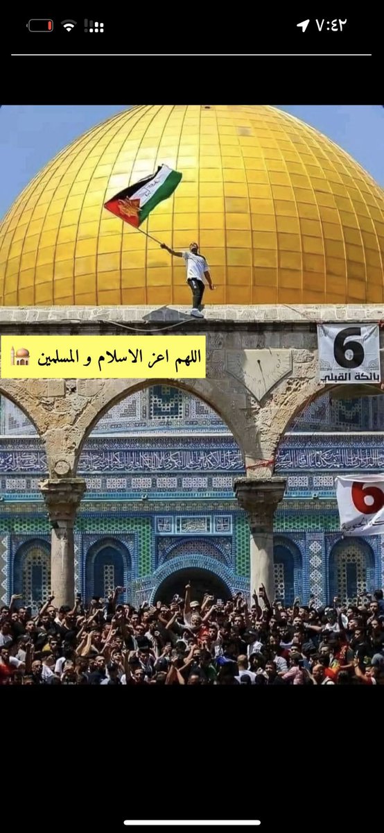 majed tweet media