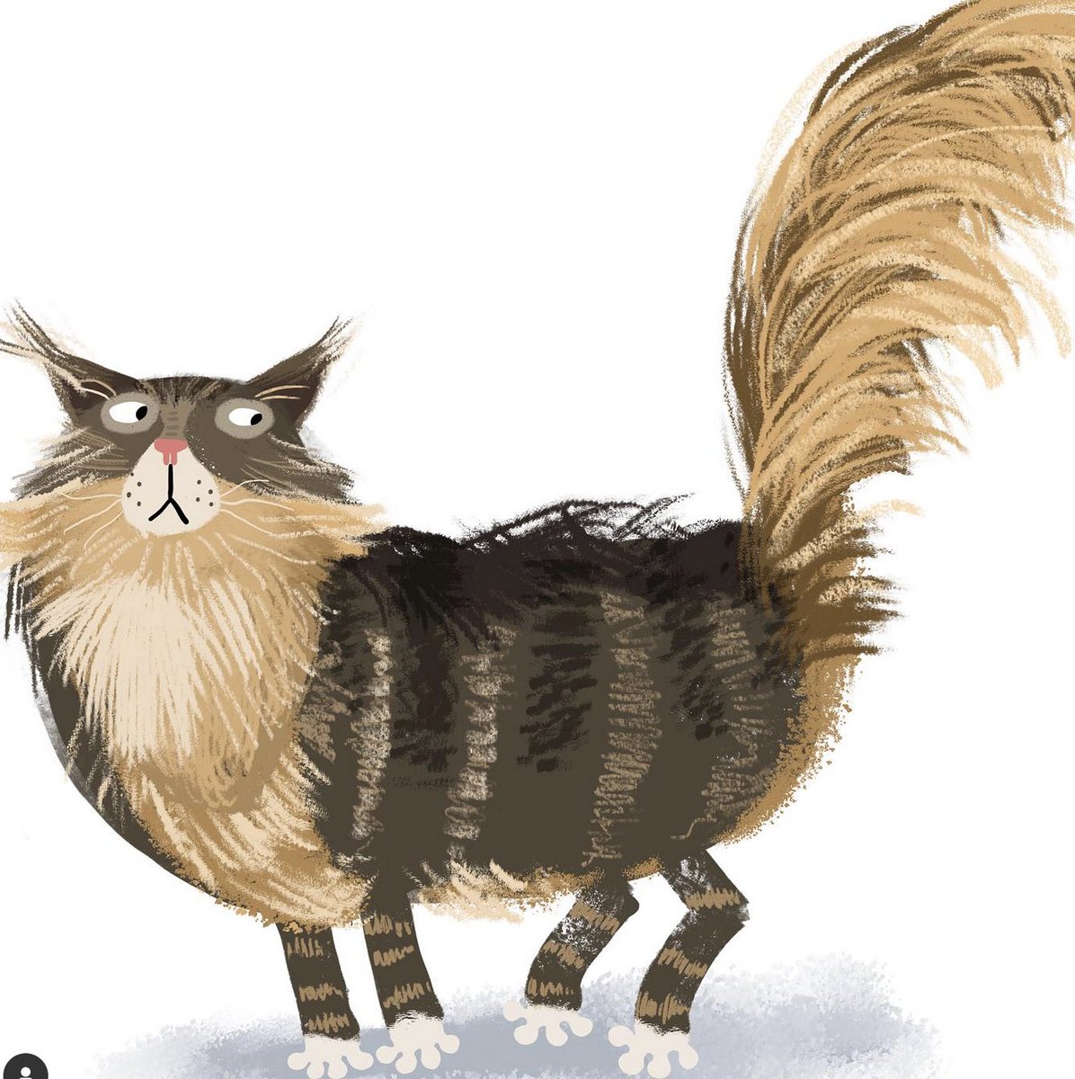 Repost from Asa Gilland (@asagilland): 'This is Nilsson. I used him as a model for “Welcome to Maine” published by Doubleday Books (@doubledaybooks) in 2021, which of course had to include a Maine coon cat. 😺😽 #asagilland #lillarogersstudio #lillarogers #art #illustration #a