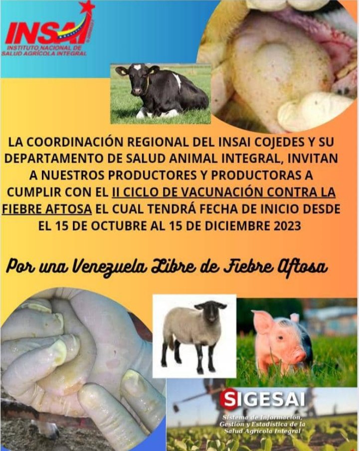 Insai Cojedes (@insaicojedes) on Twitter photo 