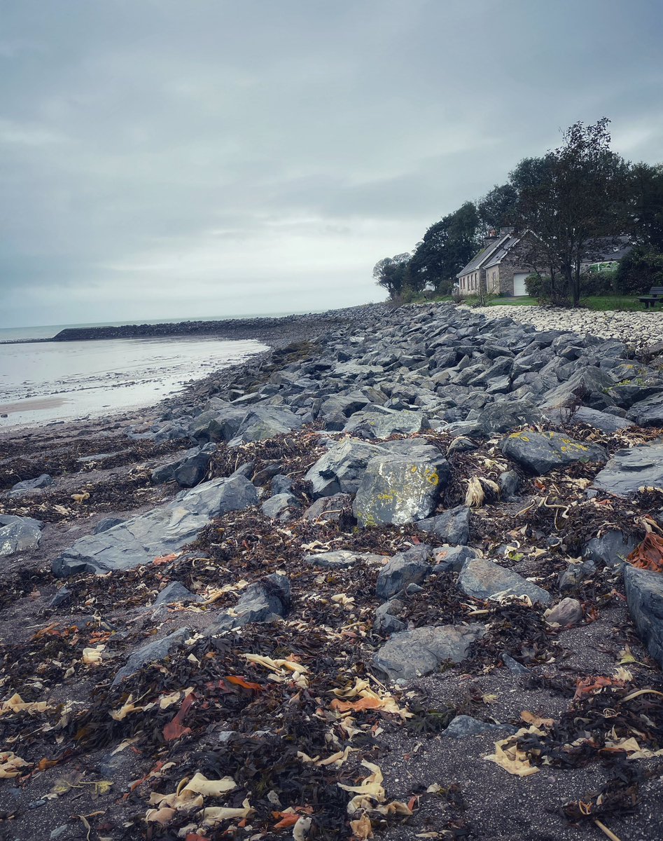 studant47's tweet photo. #Garlieston
#Scotland
#RoadTrip
#travel
#harbour
#beach
#moss
#drizzle
#dreich
#seaweed
#sand
#stones
#rocks
#wander
#wonder https://t.co/wNOJBYYgQJ