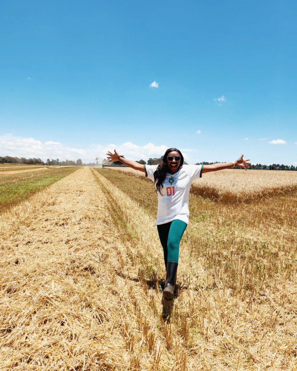 charlruto's tweet photo. We took a few hours to finish harvesting a vast field and my ears couldn't believe the profit margins that will be made from this field alone!
Young people, si tukasirike tuingie ukulima na roho moja?
#the30things #agriculture #agribusiness #theyoungpeople https://t.co/O9CjaSpGQN
