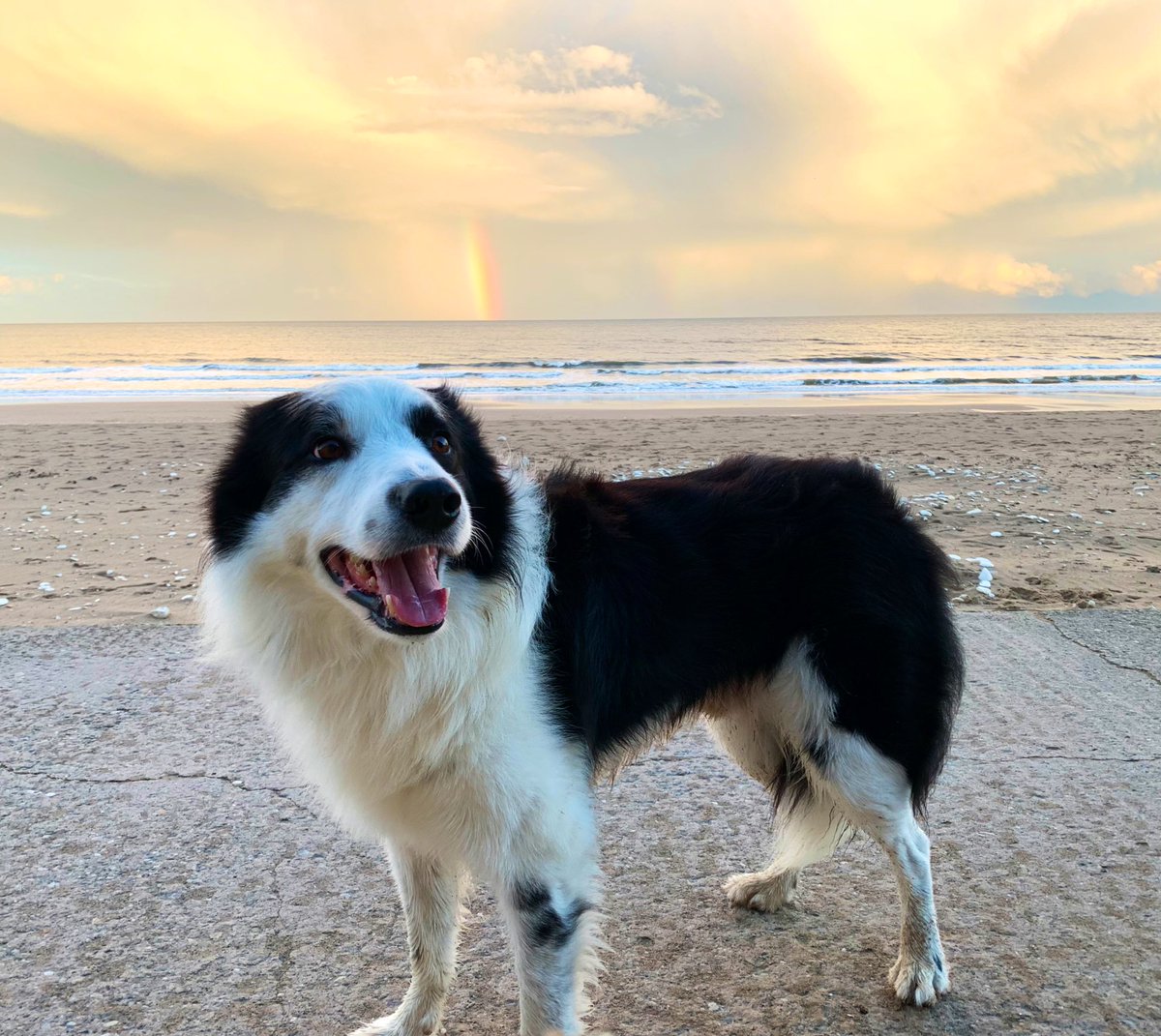 Have a lovely evening everyone 💛