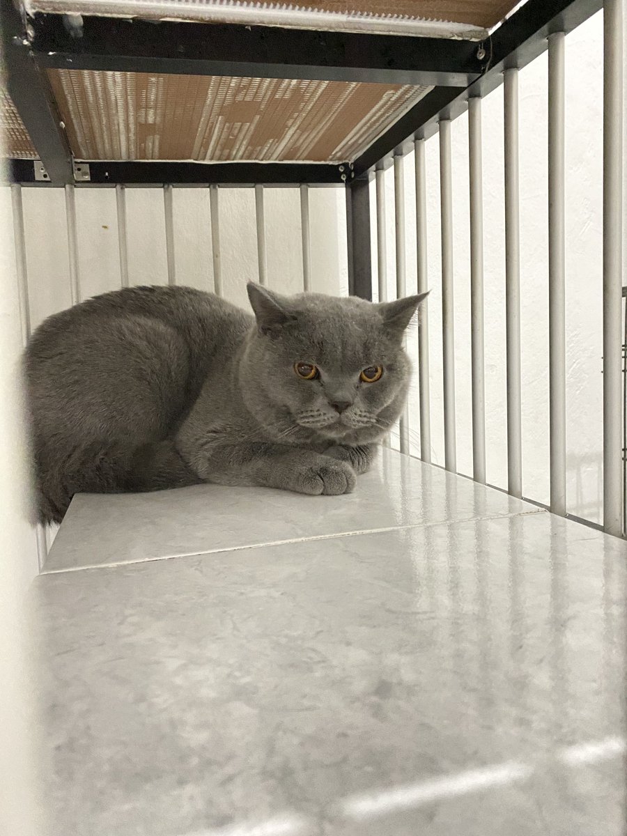 endxxxsss's tweet image. pengen cubit pipinya ga seh😭😭