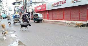 কুকুরের সাথে ধাক্কা লেগে উল্টে গেল অটো, ঘটনাস্থলেই নিথর চালক