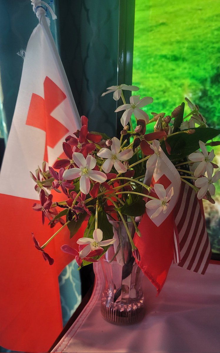 RugbyTON_'s tweet photo. All the best @officialTongaRU You got this. Set is ready. Breakfast is leftover ribs with chicken/egg salads + black tea. 
Let's go Tonga. You got this. Ha'uuuuu Tau Tau Tau 
@MalakaiFekitoa @vaeafifita @VailanuSione @ben_tameifuna @STakulua https://t.co/chZxsHlXDT