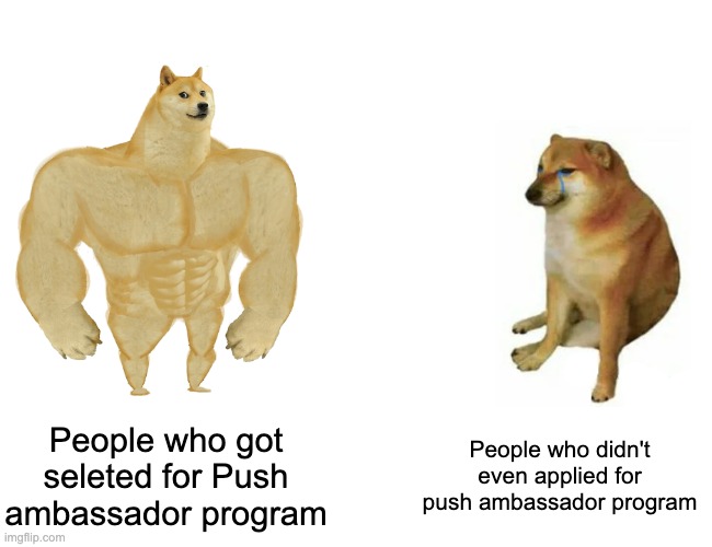 neutr0n420's tweet photo. exclusive swags, mentorship, guided sessions, and whatnot...
#pushambassador 🔔 https://t.co/M0YCcadKXH