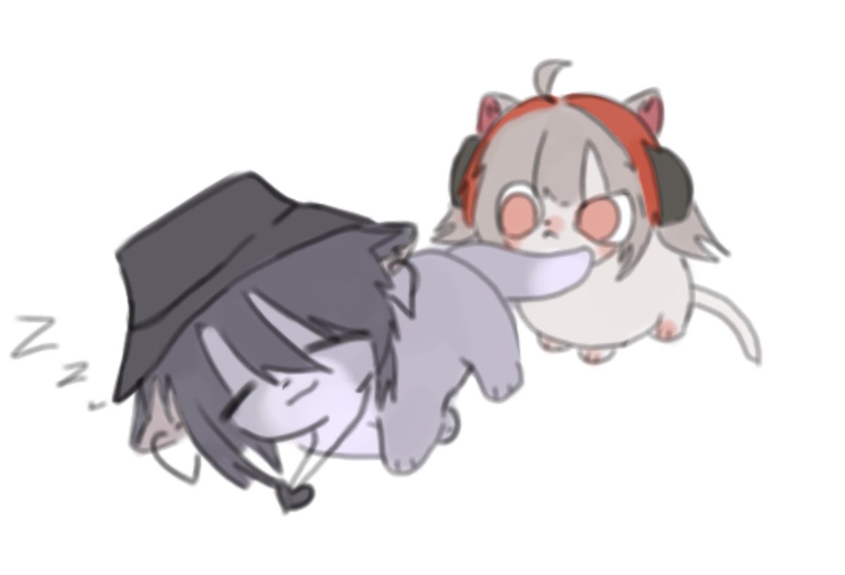 어흥냥 데렌냥 🐱 #무기미도