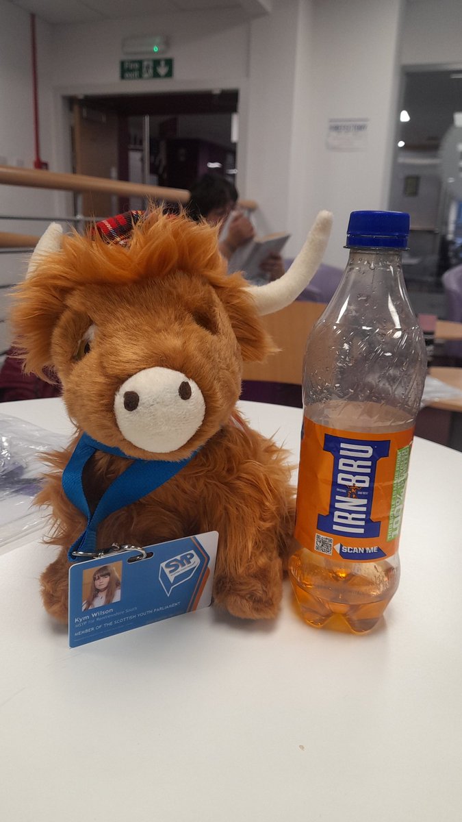 Last day of #SYP80 I am so sad to be leaving this sitting and this chapter of my life but I am thankful for all the memories, skills and friends I have made on this journey.

Thank you <a href="/OfficialSYP/">Scottish Youth Parliament</a> for everything 
Special thanks to <a href="/kimhuntercld/">Kimberley Hunter - Community Worker</a> who has helped me on this journey