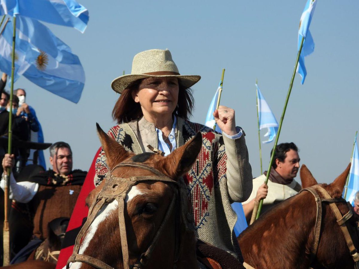 hardiesanti's tweet photo. La fuerza, el coraje y la decisión de esta mujer va a poner a la Argentina de pie, cada vez falta menos. Vamos hoy todos juntos en el #DebatePresidencial2023 con #PatoPresidente 💪🇦🇷 @PatoBullrich #EsAhoraYEsParaSiempre https://t.co/KhhgxGezkB