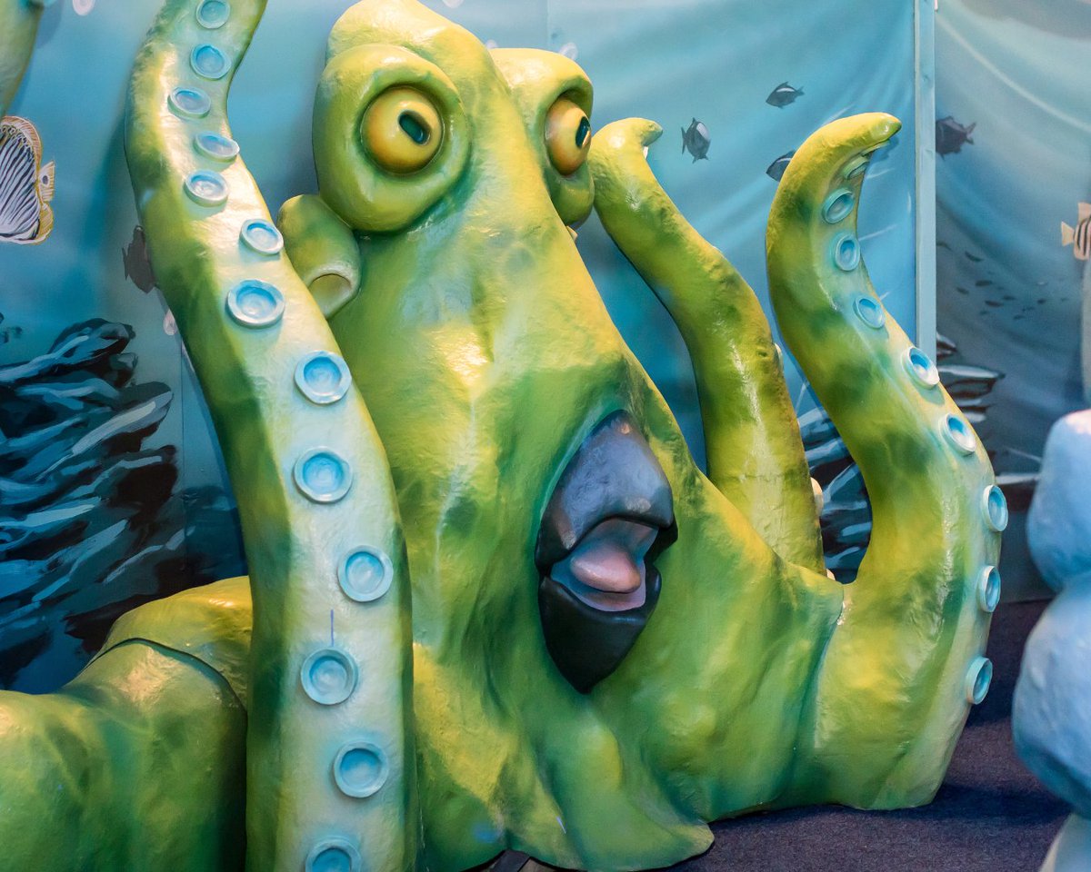 PiagDerby's tweet photo. What better excuse to celebrate our very own octopus than #WorldOctopusDay? ☺️ https://t.co/AN1Sgs0WxK