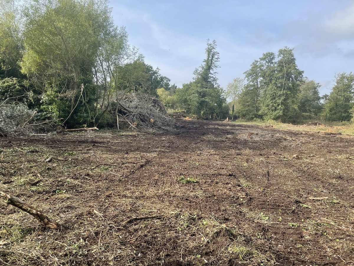 BAConservation's tweet photo. We are delighted to say that the felling and extraction of our plantation of Cricket-bat Willows by English Willow is now complete, and the contractors have moved out. We thank our neighbours for their forbearance over a difficult operation. https://t.co/KbfcMEe7jd