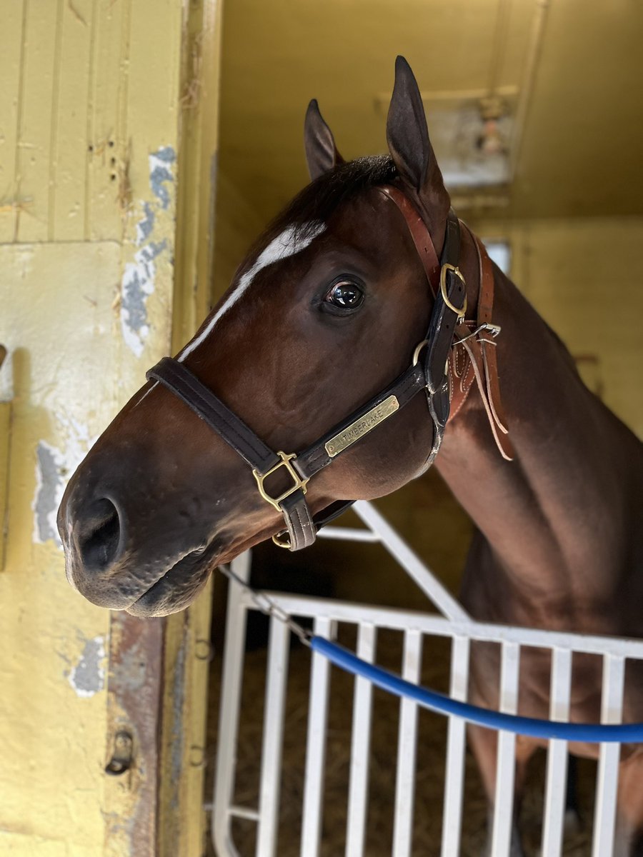 Ryan Martin tweet media