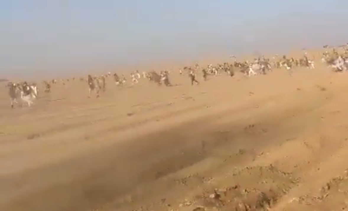 julienbahloul's tweet photo. Plus de 600 morts en #Israel. L'équivalent de plus de 4500 à l'échelle de la France. 

La plupart d'entre eux tués dans un festival de musique. 

Ils étaient jeunes. 

Ils avaient la vie devant eux. 

Leur seul crime était d'être venus faire la fête. Profiter des derniers jours de l'été. 

Des islamistes palestiniens assoiffés de sang se sont jetés sur eux et les ont massacrés. Un par un. 

Avant de prendre en otages ceux qui ont survécu. 

Damien Saez a écrit après le Bataclan : 

"Ils étaient des familles, ils étaient des amis
Ils étaient ce qui brille dans le ciel de la nuit
Ils étaient amoureux ceux qui se sont blottis
L'un contre l'autre à deux, contre la tyrannie
Ils étaient comme toi, ils étaient comme moi
Ils n'étaient pas guerriers mais sont morts au combat

Ils s'appelaient Jacques Brel puis je crois Barbara
Ils s'appelaient le ciel, ils s'appelaient pourquoi
Toujours ici sommeil l'horreur au creux du bois
Qui rejoint l'éternel va l'innocent je crois
Ils étaient poing levé, ils étaient nos concerts
Ils étaient cœurs serrés oui face aux tortionnaires
Ils étaient cœur d'œillets, des fleurs face au fusil
À nos cœurs endeuillés nous pleurons nos amis
À l'innocent qu'on tue, oui, tombé sous les balles
Au soldat inconnu sous l'horreur des mitrailles"

Qu'ils reposent en paix.