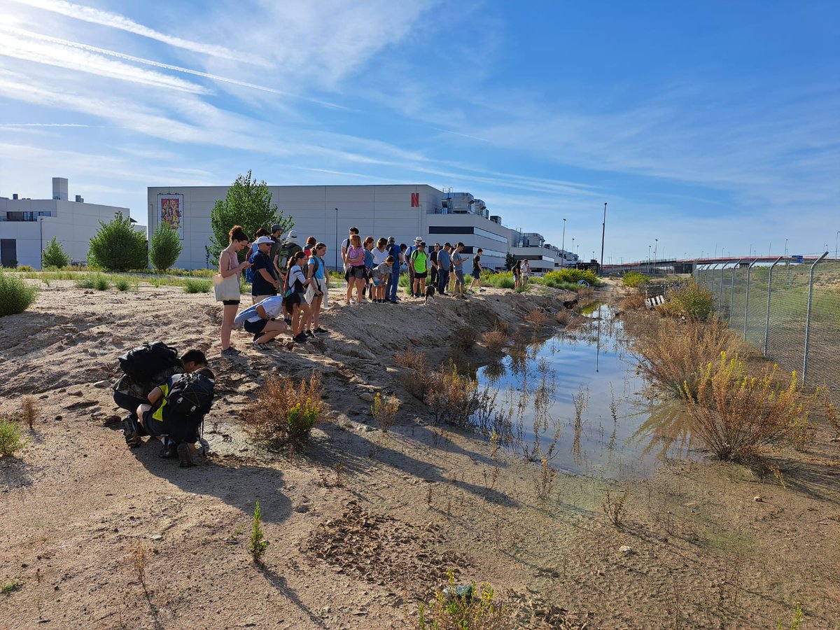 climariskinpond's tweet photo. Todo un éxito las rutas de este fin de semana!! Gracias a toda la gente por venir y escucharnos, ha sido todo un placer!! Gracias a @Sanse_alNatural, @iberozoa y @PEN3Cantos por colaborar!!
Os esperamos el 16 de noviembre en la UAM para seguir conociendo estos ecosistemas! https://t.co/1VP4nyshwA