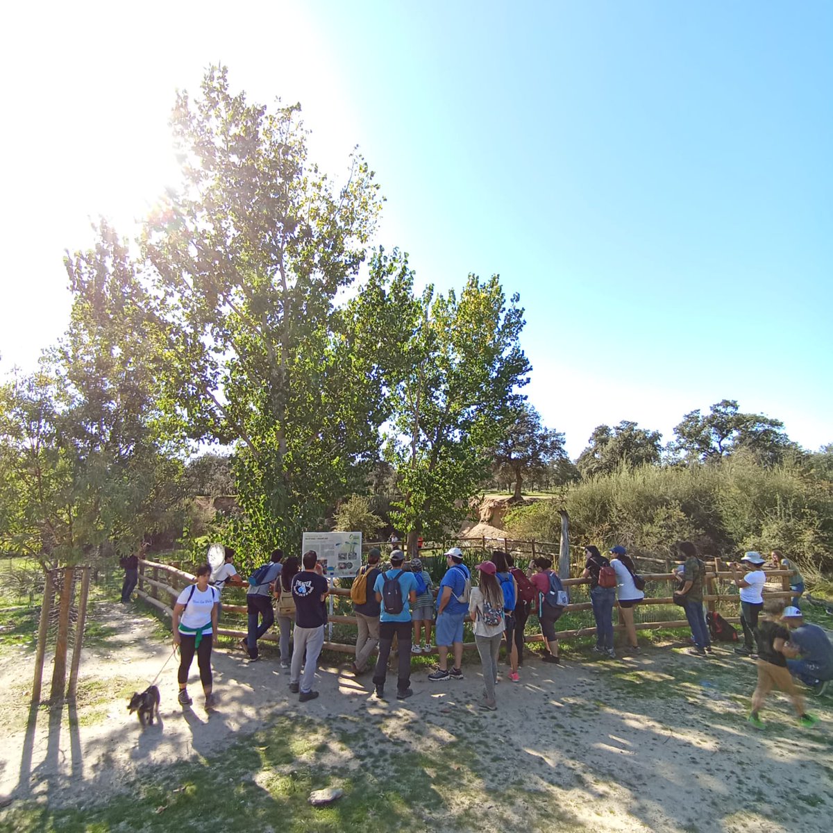 climariskinpond's tweet photo. Todo un éxito las rutas de este fin de semana!! Gracias a toda la gente por venir y escucharnos, ha sido todo un placer!! Gracias a @Sanse_alNatural, @iberozoa y @PEN3Cantos por colaborar!!
Os esperamos el 16 de noviembre en la UAM para seguir conociendo estos ecosistemas! https://t.co/1VP4nyshwA